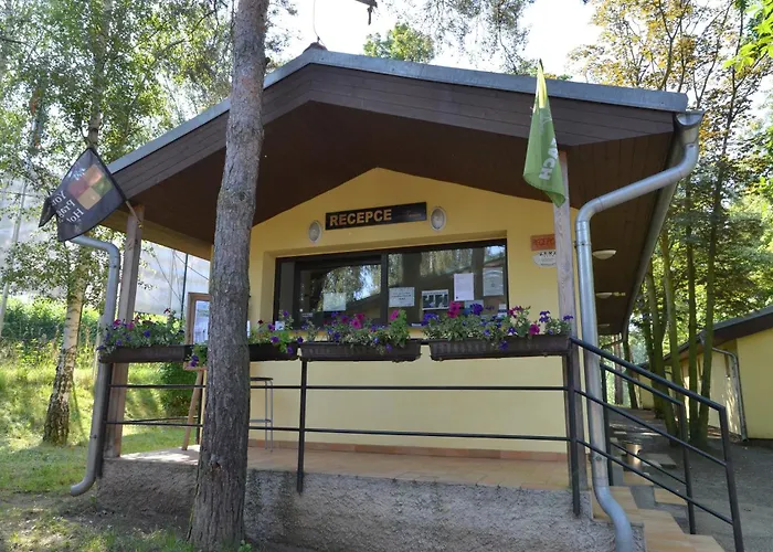 Nová živohošť