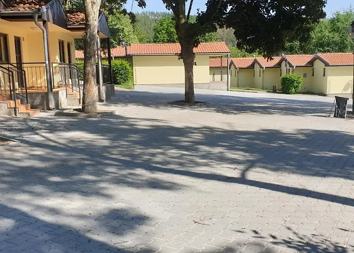 Nová živohošť *