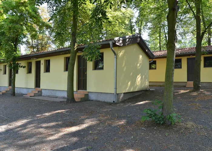 Nová živohošť